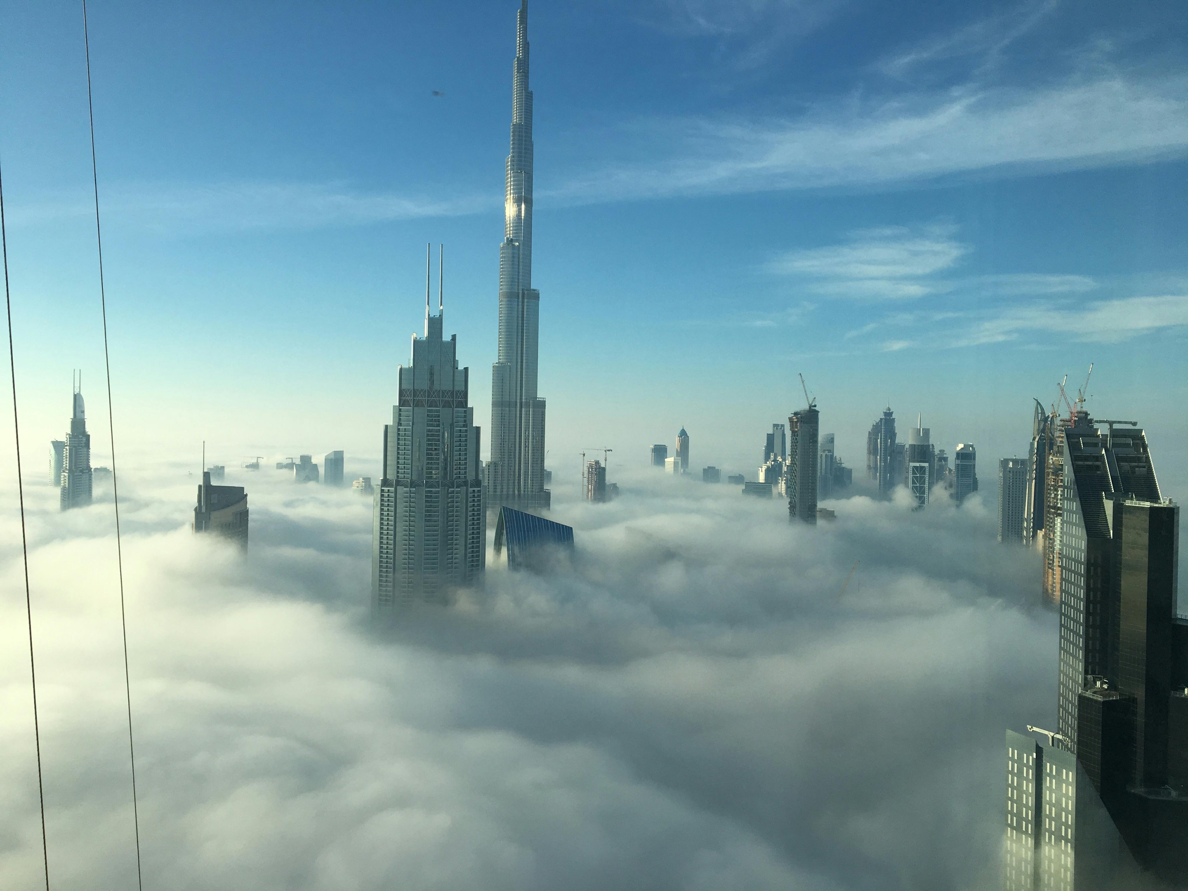 Winter (December – February)